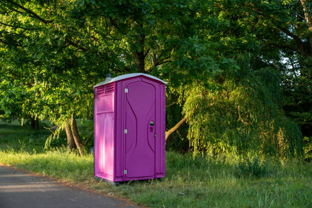 Portable Toilet Options We Offer in Forest View, IL